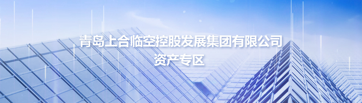 青島上合臨空控股發(fā)展集團(tuán)有限公司資產(chǎn)專區(qū)